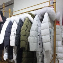 冬女裝蝙蝠價格 冬女裝蝙蝠公司 圖片 視頻